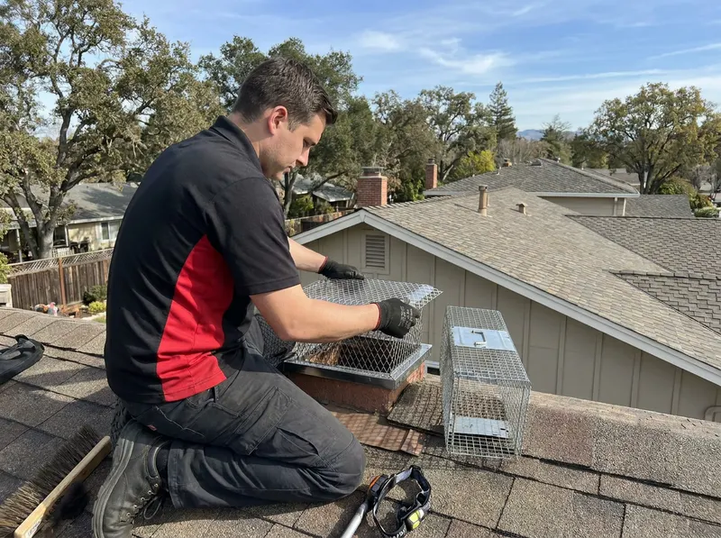 Animal Removal & Spark Arrestor in Pleasanton, CA